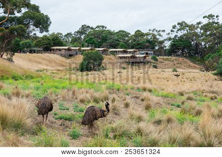 Melbourne, Australia - February 25, 2018: Safari Lodges Offering Accommodation Within Werribee Open 