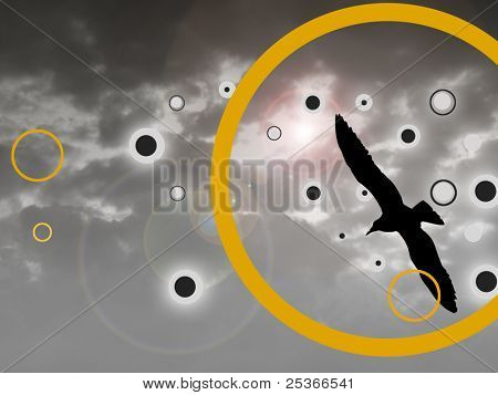 silueta de pájaro negro volando sobre fondo de cielo nublado.