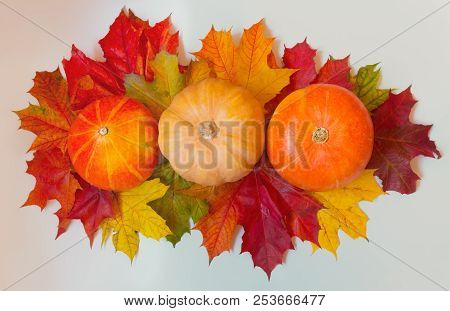 Pumpkins And Autumn Maple Leaves On Gray Background. Autumn Border.