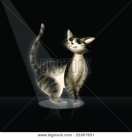 gato en linterna sobre fondo negro