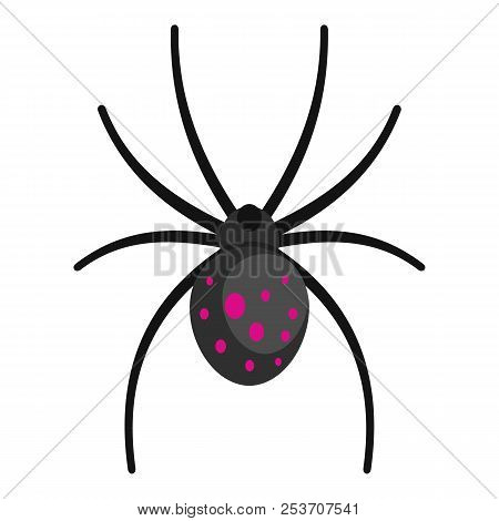 Spider Icon. Cartoon Illustration Of Spider Icon For Web