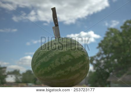 Green Watermelon Against The Sky With Clouds