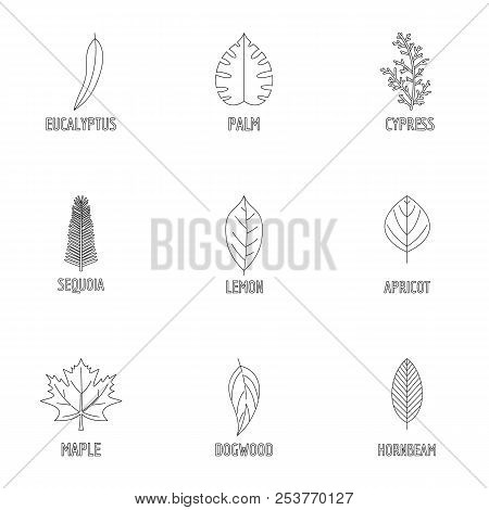 Leaf Structure Icons Set. Outline Set Of 9 Leaf Structure Icons For Web Isolated On White Background