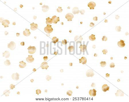 Gold Seashells Vector, Golden Pearl Bivalved Mollusks. Aquatic Scallop, Bivalve Pearl Shell, Marine 