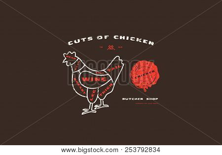 Stock Vector Chicken Cuts Diagram In Thin Line Style. Design With Rough Texture. Color Print On Blac