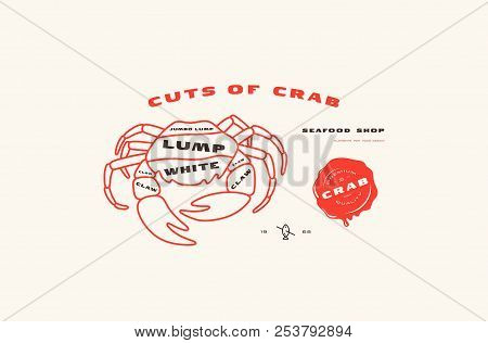 Stock Vector Crab Cuts Diagram In Thin Line Style. Color Print On White Background
