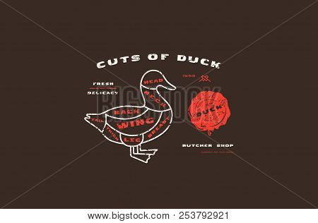 Stock Vector Duck Cuts Diagram In Thin Line Style. Design With Rough Texture. Color Print On Black B