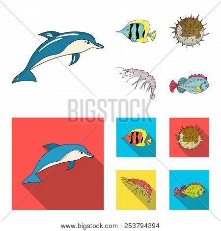Shrimp, Fish, Hedgehog And Other Species.sea Animals Set Collection Icons In Cartoon, Flat Style Vec