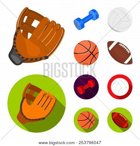 Blue Dumbbell, White Soccer Ball, Basketball, Rugby Ball. Sport Set Collection Icons In Cartoon, Fla