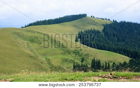 Green Mountain Valley, Green Forest, Top Of The Hill