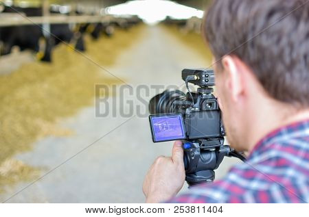 Video Camera Operator Working With His Equipment
