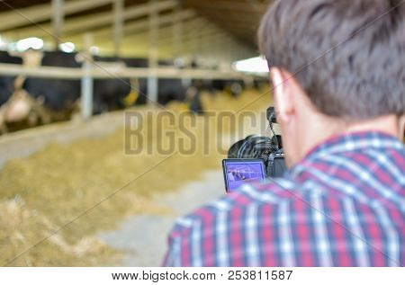 Video Camera Operator Working With His Equipment
