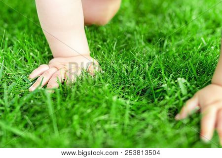 Close-up Baby Crowling Through Green Grass Lawn. Details Infant Hand Walking In Park . Child Discove