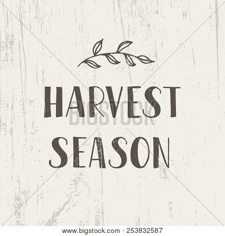 Harvest Season