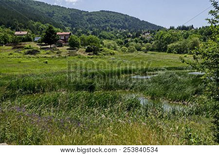 Springtime Green Forest, Glade, Reed Or Rush And House On A Beauty  Lake In Residential District Mar