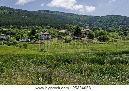 Springtime Green Forest, Glade, Reed Or Rush And House On A Beauty  Lake In Residential District Mar