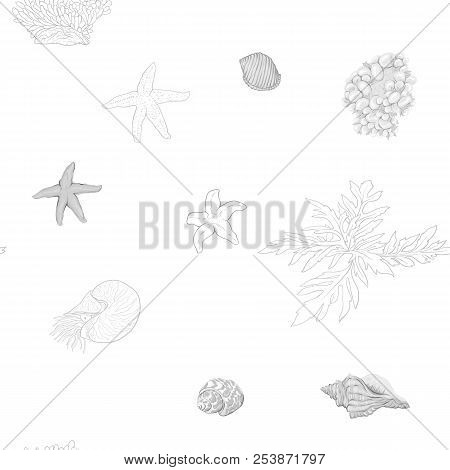 Sea World Seamless Pattern, Background With Fish, Corals And Shells On White Background. Stock Vecto