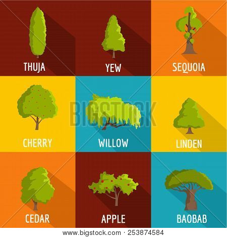 Fuelwood Icons Set. Flat Set Of 9 Fuelwood Icons For Web Isolated On White Background