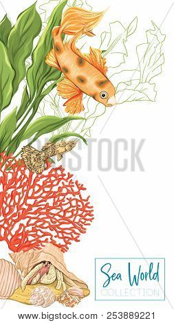Sea Card With Gold Fish, Corals And Shells. Good For Greeting Card, Invitation. Template With Place 