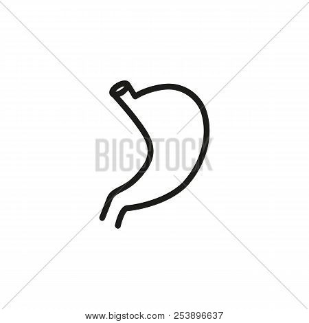 Human Stomach Line Icon. Digestion, Gastroenterology, Alimentary System. Organs Concept. Vector Illu