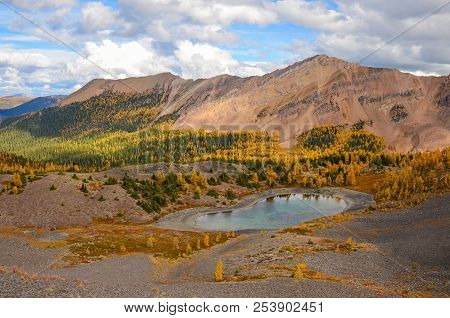 Brewer Creek Tarn, British Columbia, Canada In Fall With Golden Larch. Purcell Mountain Landscape