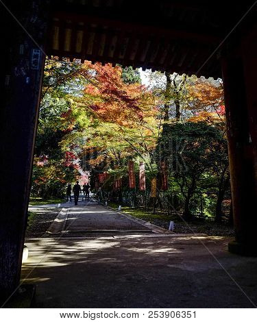 Kyoto, Japan - Nov 18, 2016. Wooden Gate With Autumn Garden Of Shinto Shrine In Kyoto, Japan.