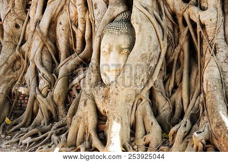 A Stone Head Of Buddha In Wat Prha Mahathat Temple