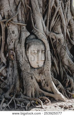 A Stone Head Of Buddha In Wat Prha Mahathat Temple