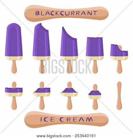 Vector Illustration Logo For Natural Blackcurrant Ice Cream On Stick. Ice Cream Pattern Consisting O