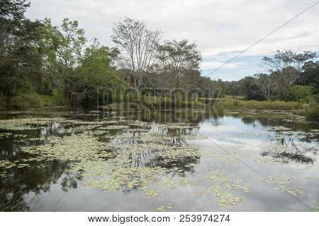 Cambodia Anlong Veng Ta Mok Lake Landscape