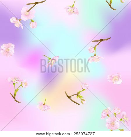 Seamless Pattern, Background With Blooming Cherry Japanese Sakura In Soft Rose Pink Colors. Stock Ve