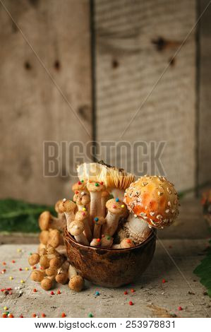 Woods, Fairy Tales & Mysterious Creature Concept - Poisonus Mushrooms In The Cup With Confectionary 
