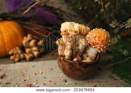 Woods, Fairy Tales & Mysterious Creature Concept - Poisonus Mushrooms In The Cup With Confectionary 