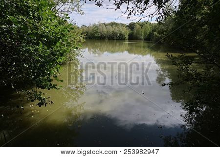 View On The Dombes River In The French Countryside