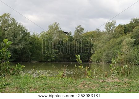 View On The Dombes River In The French Countryside