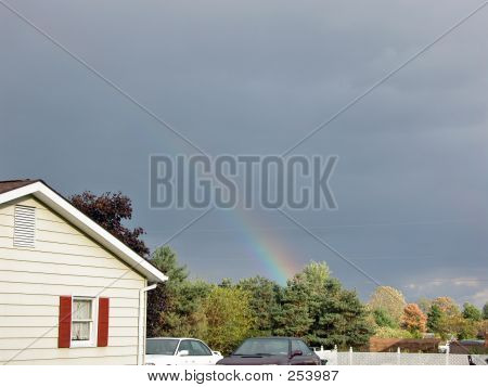 레인 보우