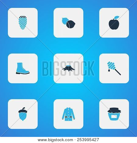 Seasonal Icons Colored Set With Coat, Honey, Apple And Other Timber Elements. Isolated  Illustration