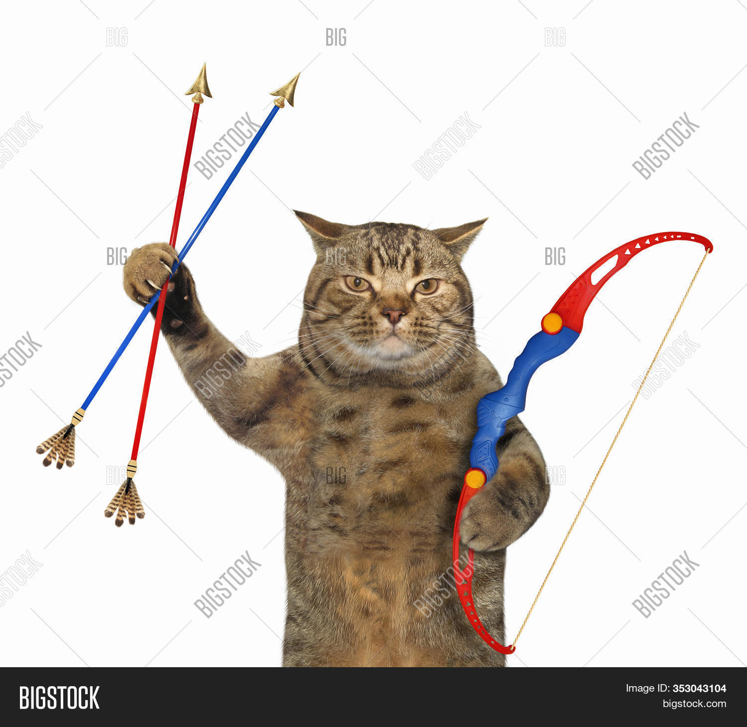 Beige Cat Archer Image & Photo (Free Trial) Bigstock