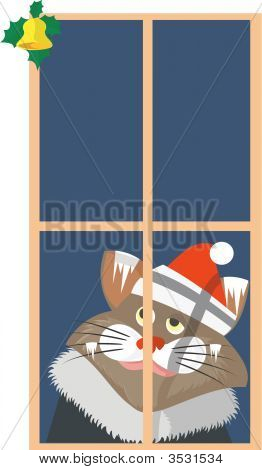 Sadcat