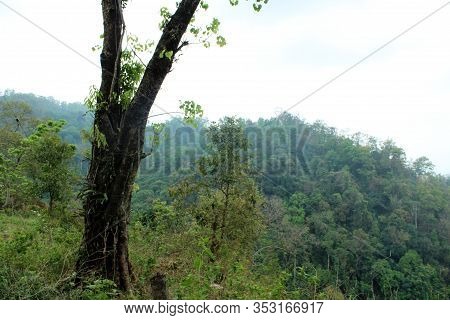 View Of Mountain And Blue Sky From A Long Distance