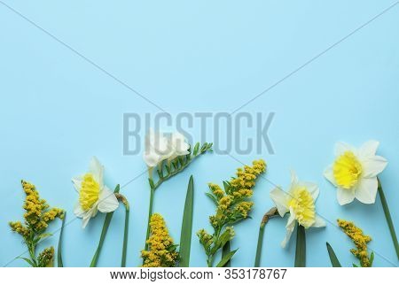 Flat Lay Composition With Spring Flowers On Light Blue Background. Space For Text