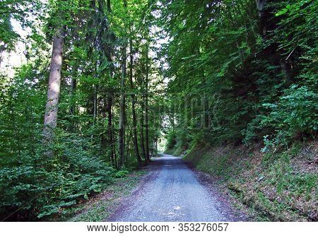Marked Hiking And Walking Trails In The Bündner Herrschaft (buendner Herrschaft) Region And In The R