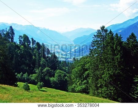 Mixed Forests And Thinned Out Trees On The Slopes Of The Alps In The Bündner Herrschaft (buendner He