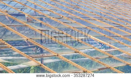 Greenhouse.  A Close Up Of An Industrial Greenhouse On A Farm In Turkler In The Province Of Alanya, 