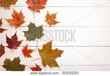 Fall Border Of Authenic Leaves On A Wooden Background