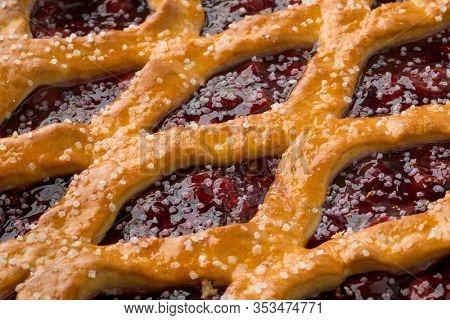 Fresh baked Limburg cherry vlaai isolated close up full frame