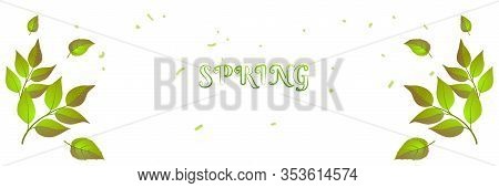 Spring Header Green Brunches And Text For Web Backdrop. Summer Color Banner, Nature Cover Background