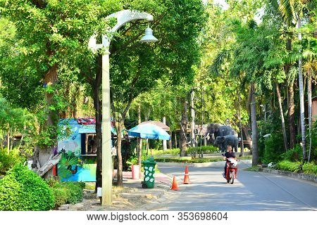Bangkok, Th - Dec 13: Path Way At Dusit Zoo On December 13, 2016 In Khao Din Park, Bangkok, Thailand