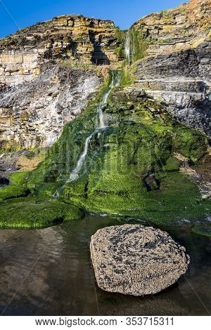 Low Tide At Kimmeridge Reveals Textures Of Rock And Seaweed