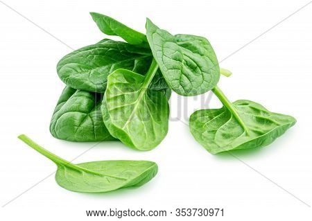 Heap Of Baby Spinach Leaves Isolated On White Background. Fresh Green Spinach.